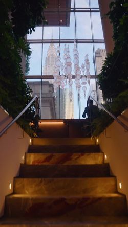 Staircase with marble steps leading to a large window showing the NYC skyline and chandeliers, flanked by greenery.