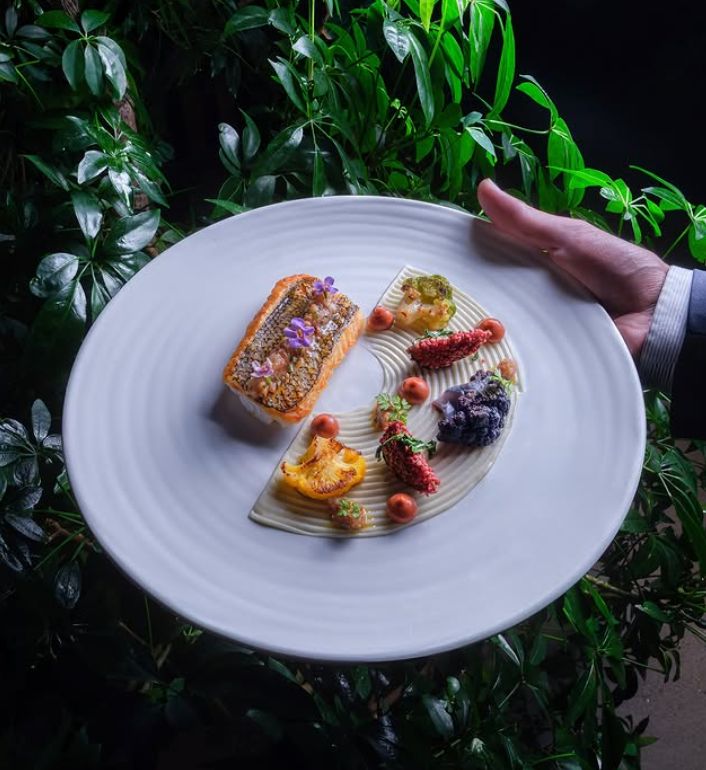 Fine dining dish with artistic plating, featuring a seared fish fillet and assorted garnishes on a white plate.